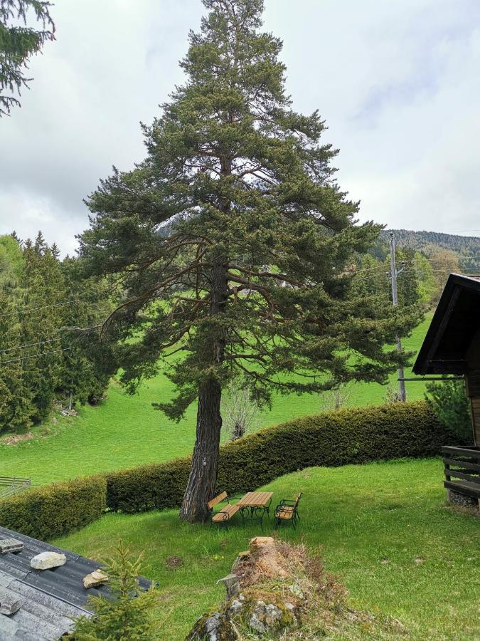 Appartamento Waldheimat Fresach Esterno foto